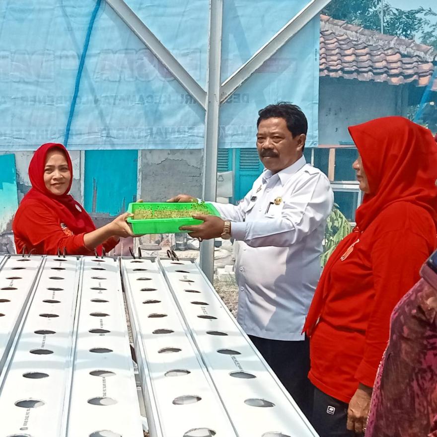 Pembuatan GreenHouse